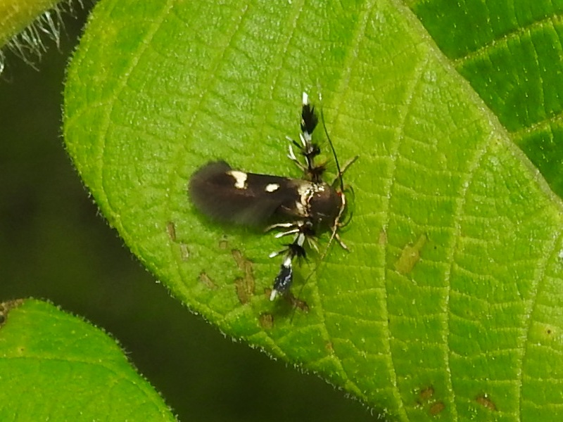 �����ƥ󥯥��ޥ�����