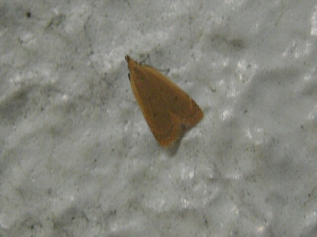 �����ťޥ������Х�