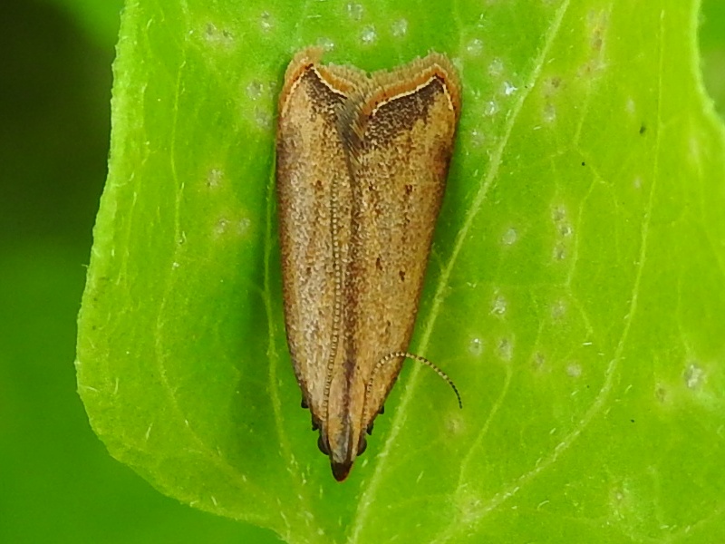 ���Х������Х�