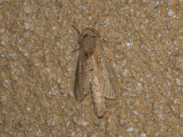 �ϥ������ܥ��ȥ�