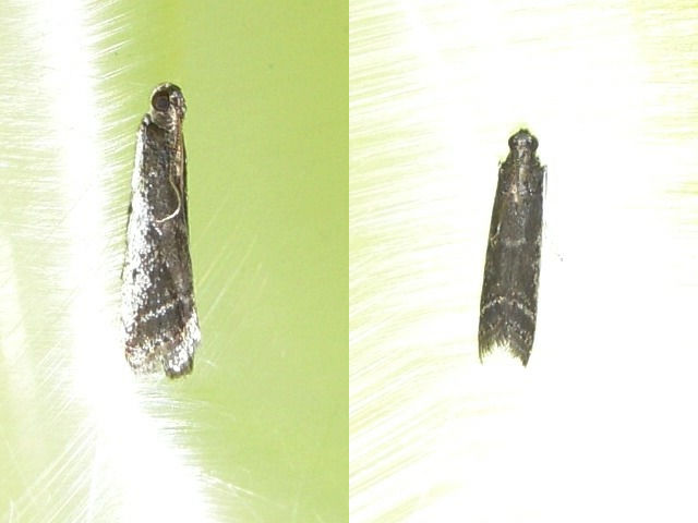 �ޥ���ᥤ��������