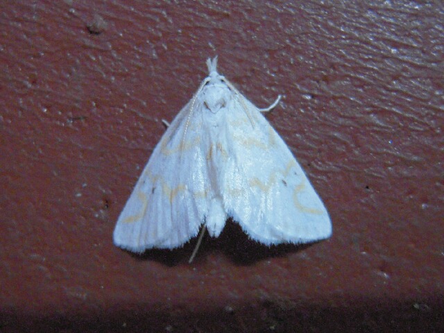 ���ܥ������ᥤ��