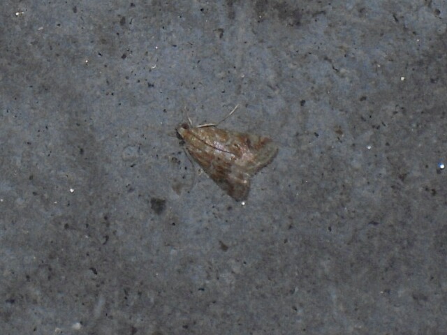 �����β�