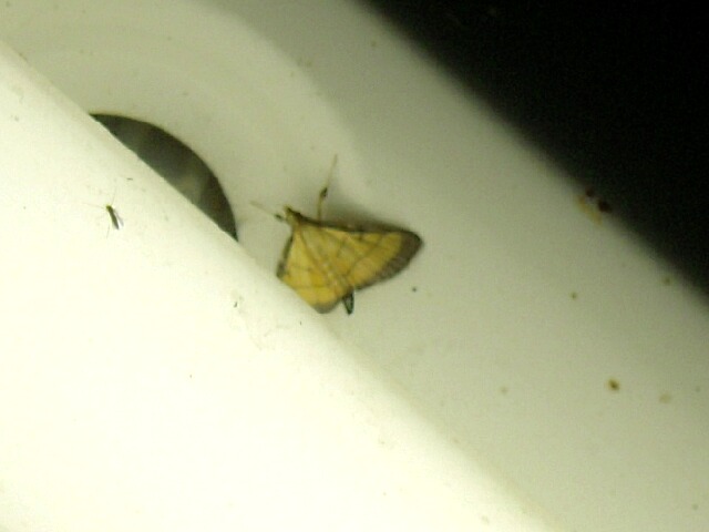 ���֥Υᥤ��