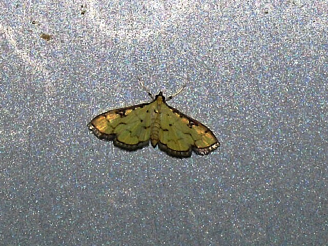 �����إꥭ�Υᥤ��