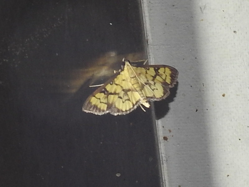 �������Υᥤ��