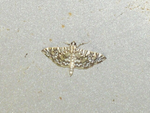 �����ޥ���Υᥤ��