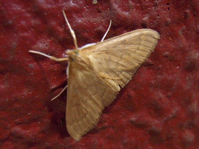 ����Υᥤ��