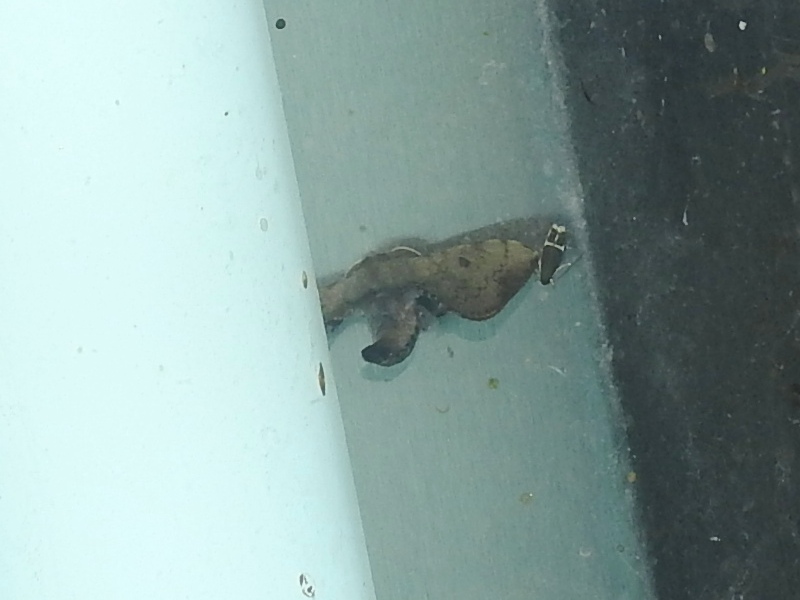 ��������������