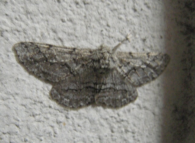 ���㥨�����㥯