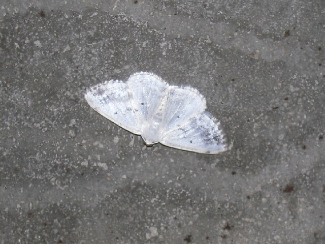 �Х饷���������㥯