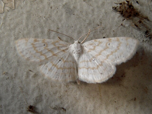 �����������������㥯