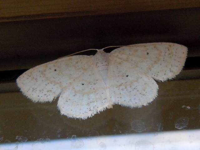 �����������������㥯