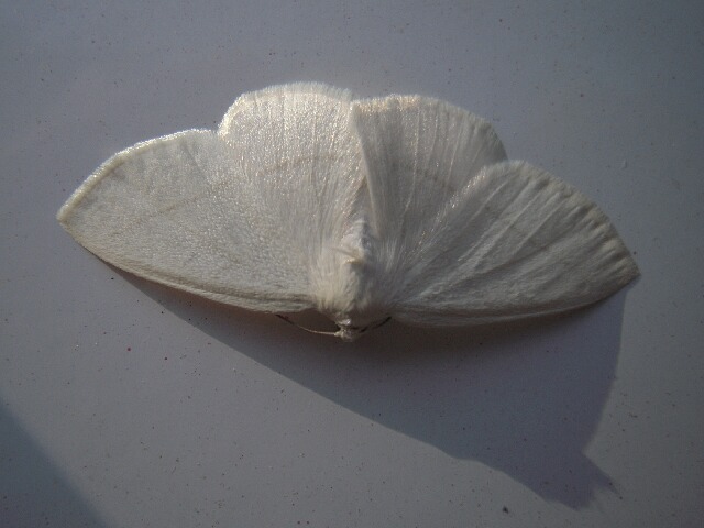 ���������������㥯