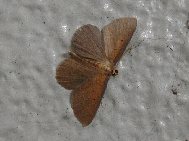 �����ϥ���ޥ������㥯