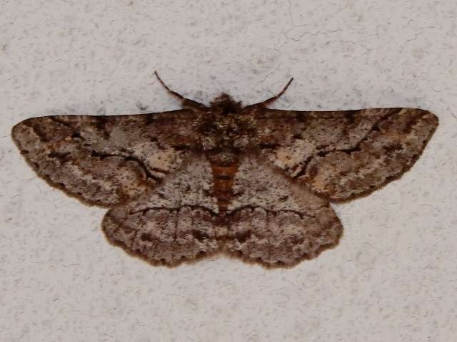 ���㥨�����㥯