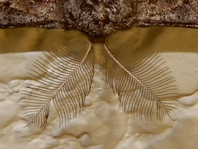 ���㥨�����㥯