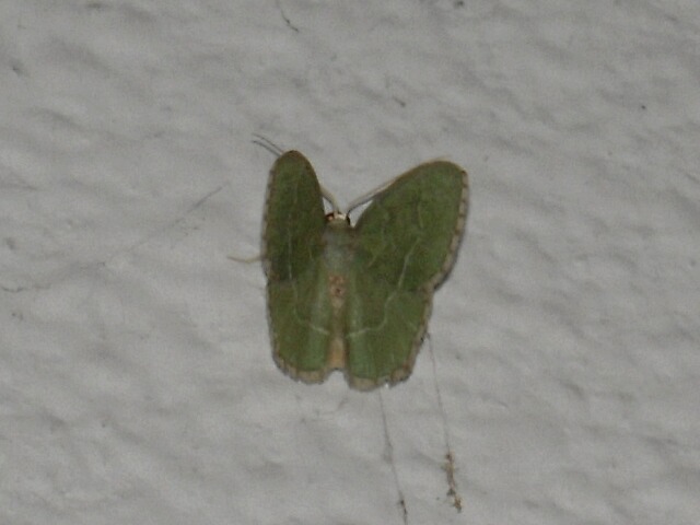 ���������������㥯