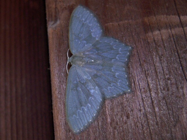 �������ҥᥢ�����㥯