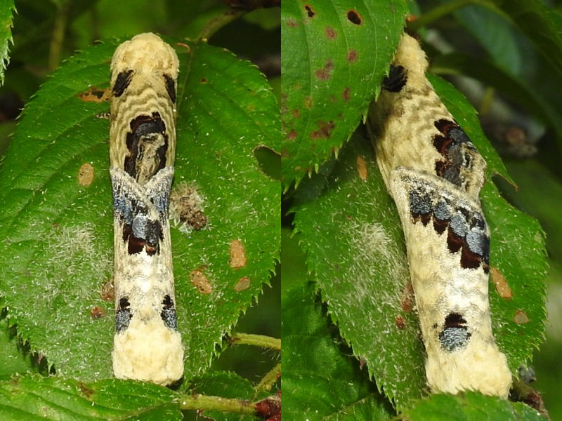 ��󥯥�������ۥ�