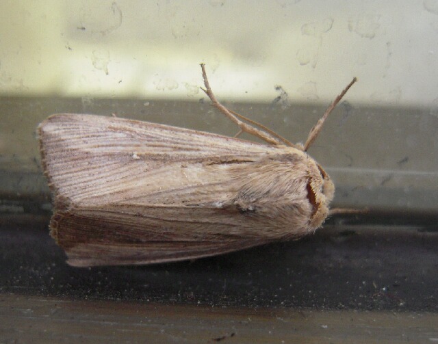 ������������ȥ�