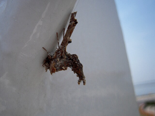 ���ե��䥬