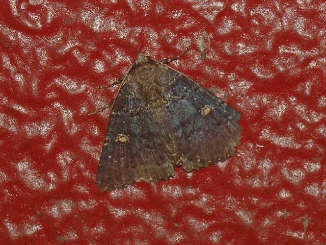 ���������ƥ󥯥���