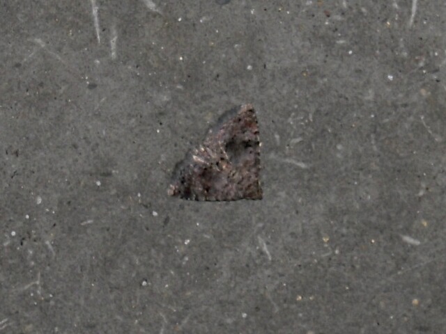 �ϥ��ޥ��饳�䥬