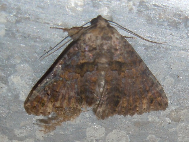 �����ƥ󥯥���