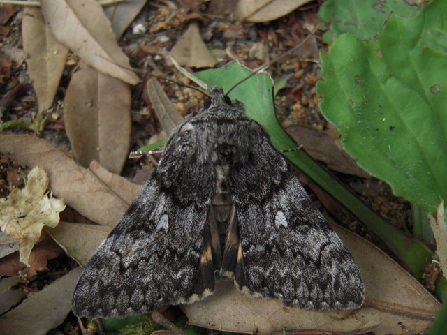 �����ޥ�������