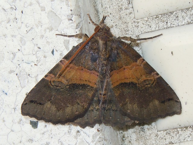 ���䥷��ե�����