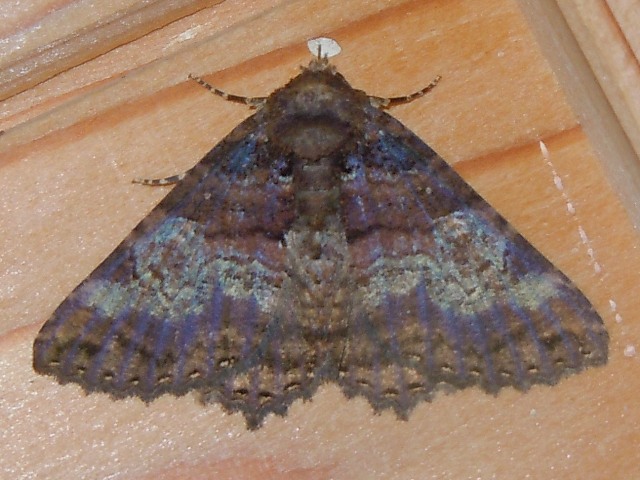 �ϥ���������