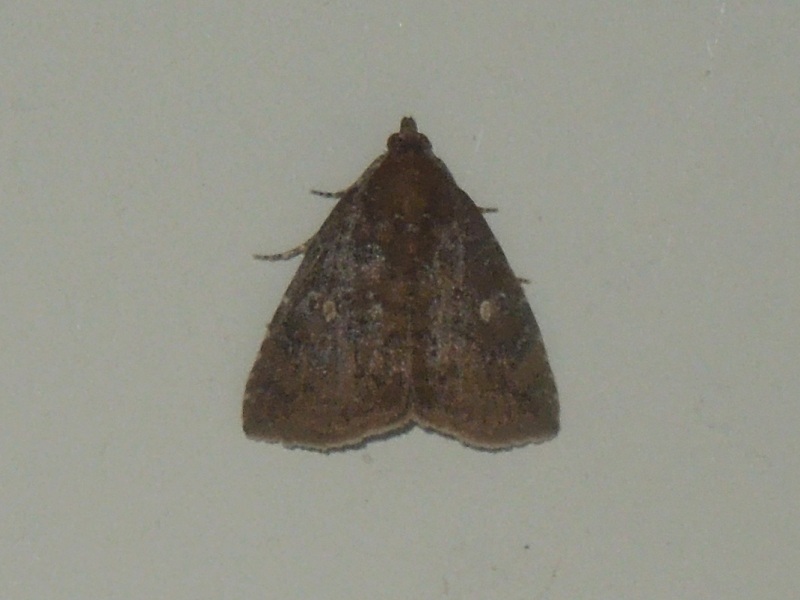 �����������ʡ�����