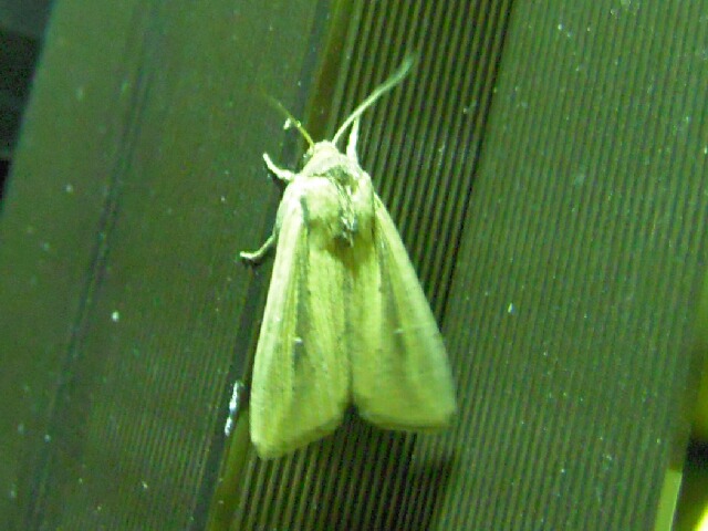 ������������ȥ�