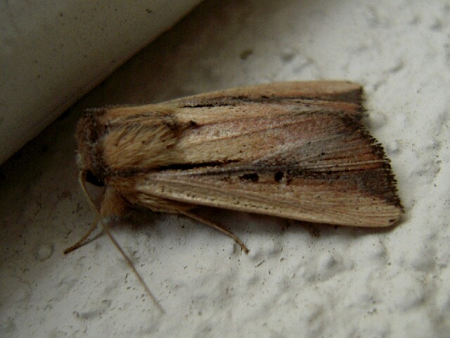 ������������ȥ�