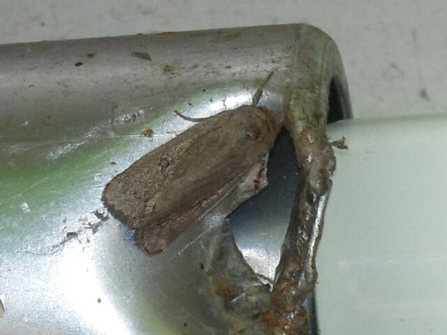 ���������ȥ�