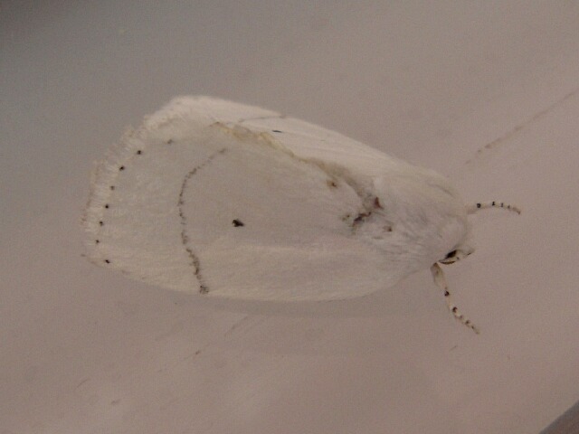 ������������