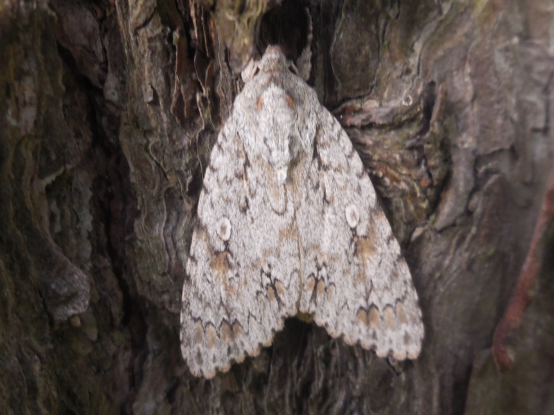 ��������������