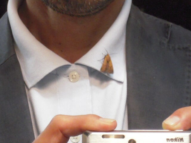 ����������䥬