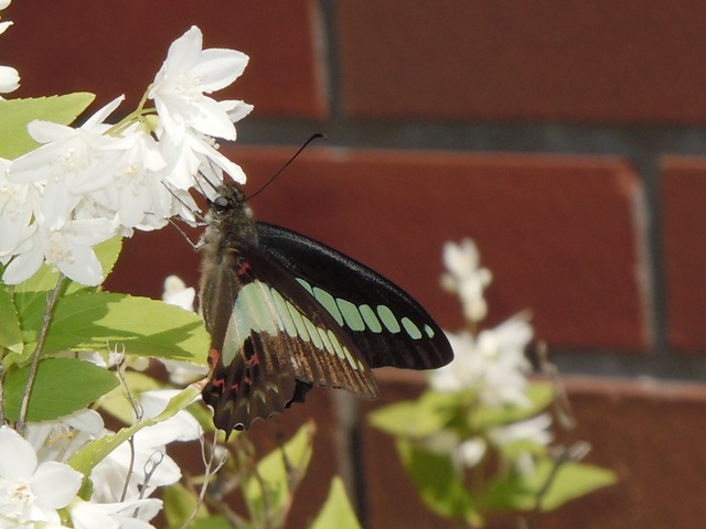 ��������������