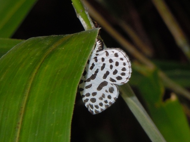 ������������