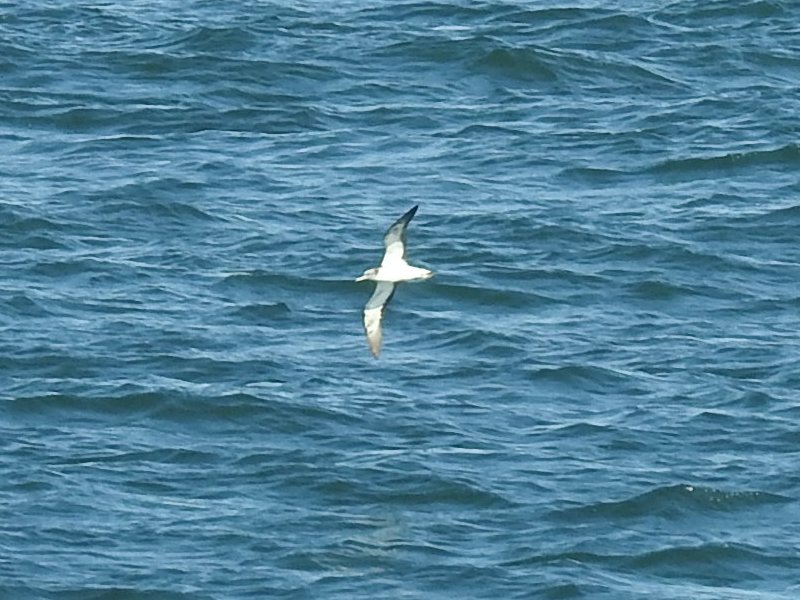 �����ߥ��ʥ��ɥ�