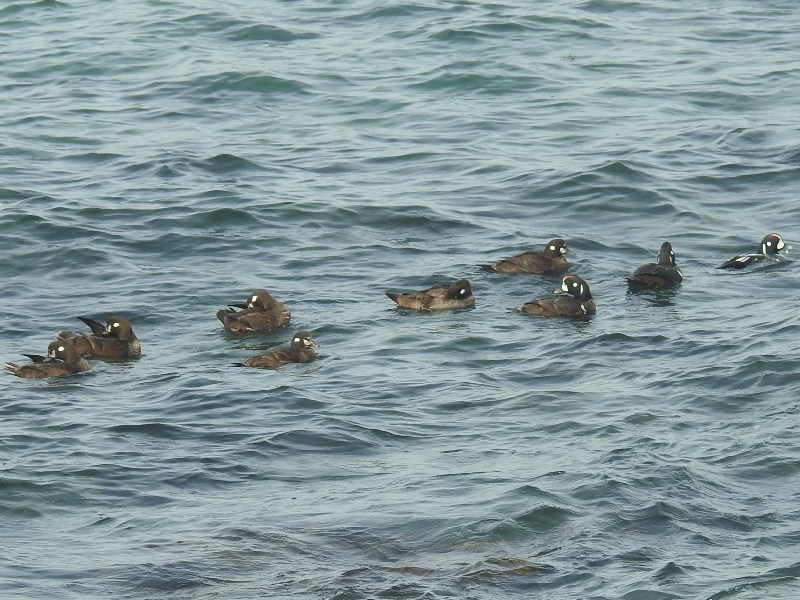 ���Υꥬ��