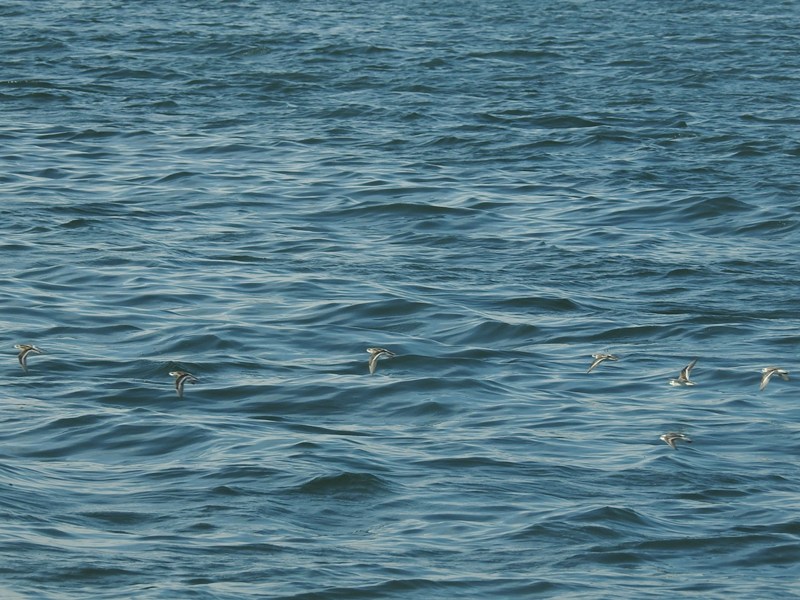 ��������ҥ쥢������