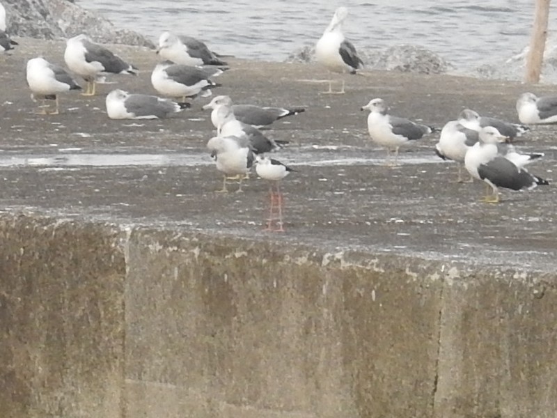 ������������