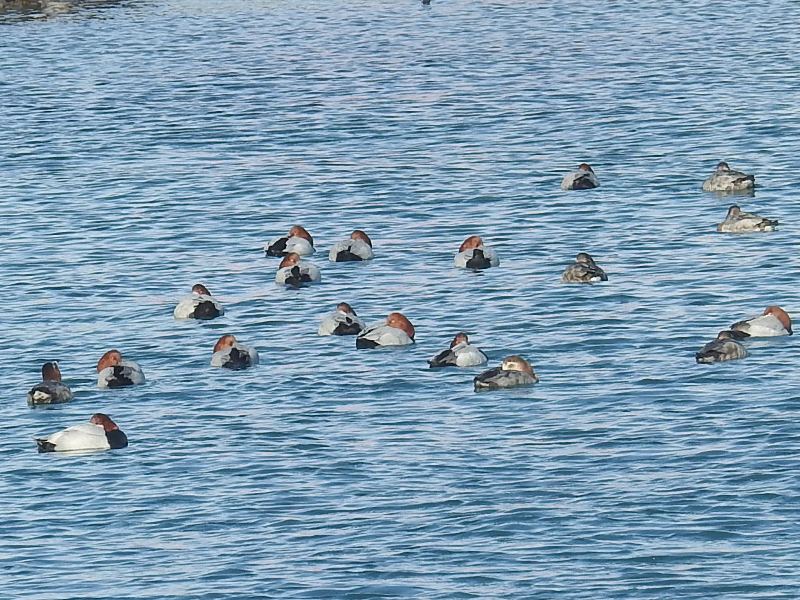 �ۥ��ϥ���