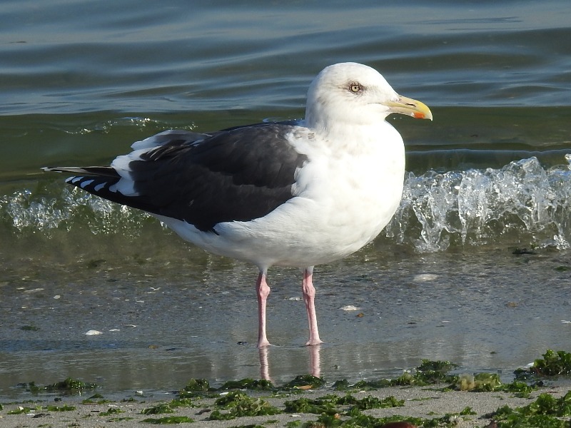 ���������������