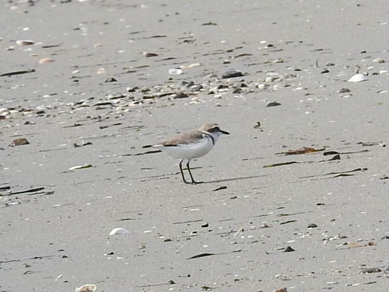 �������ɥ�