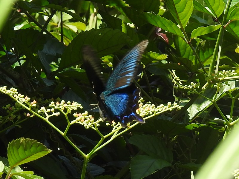 ���饹������