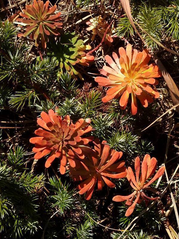 �ϥ�������